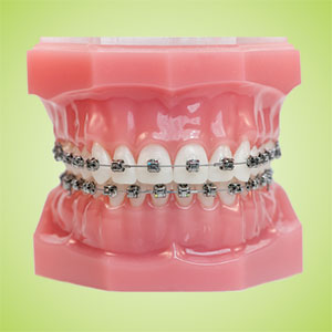 Dental Care